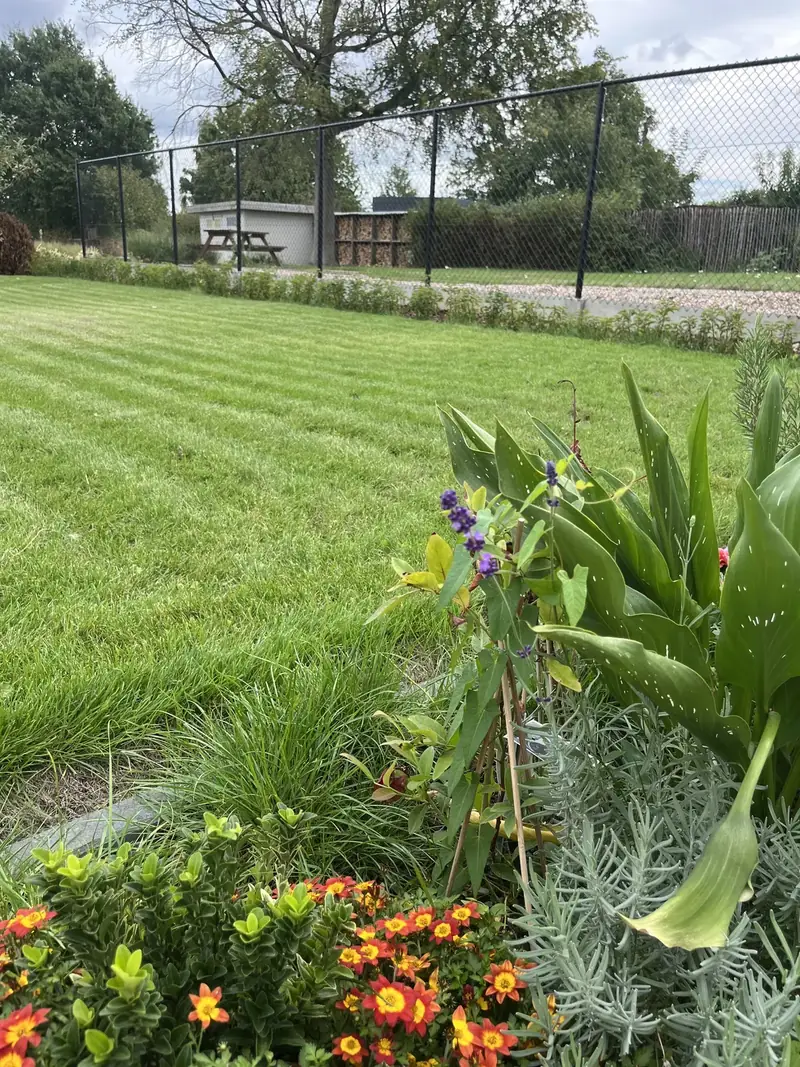 Dicht en gezond gestreept gazon na herstel