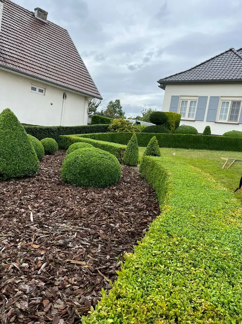 Siertuin met buxusbollen, kegels en strak gesnoeide hagen door Tuinwerken Kevin Wagelmans