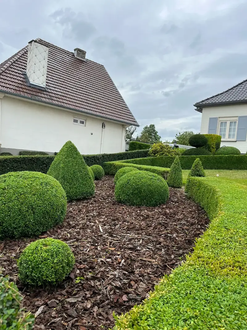 Strak gesnoeide buxus en hagen door Tuinwerken Kevin Wagelmans