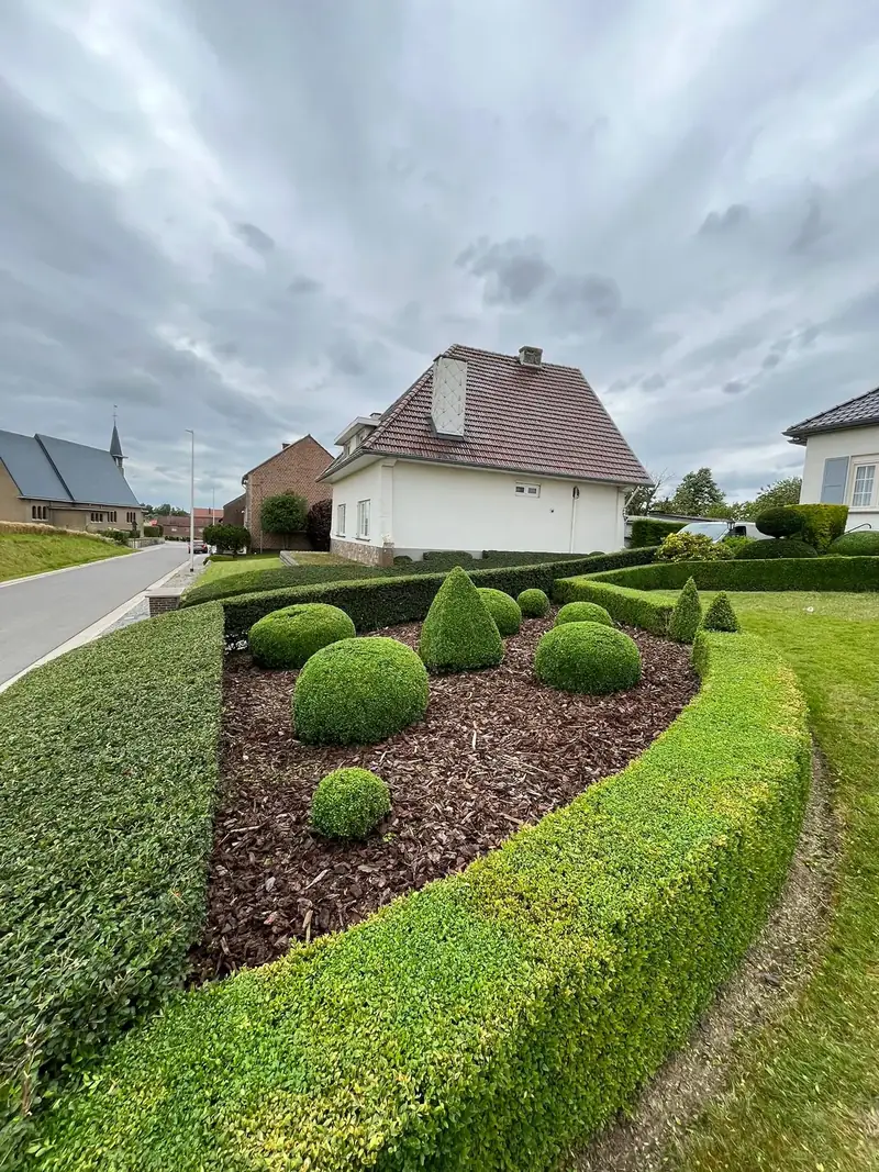 Onderhouden voortuin met buxusperk door Tuinwerken Kevin Wagelmans