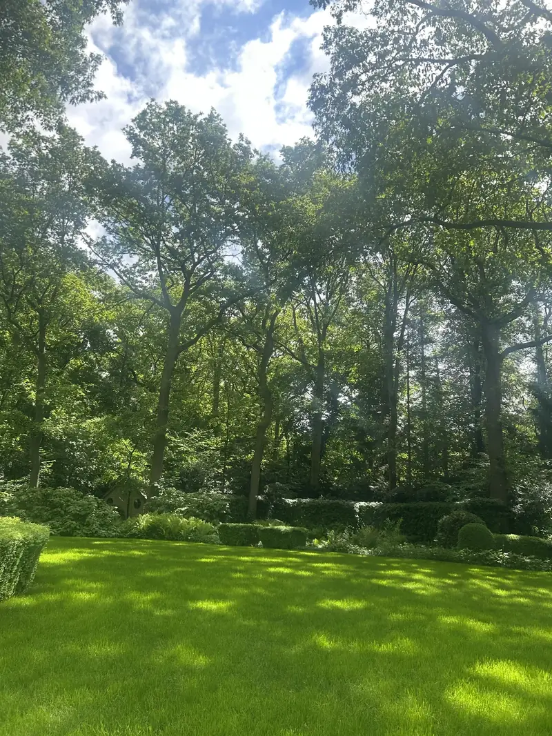 Dicht, egaal gazon aan de bosrand