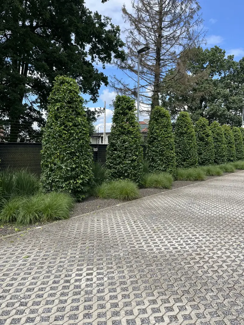 Onkruidvrije verharding en borders op een bedrijfsterrein