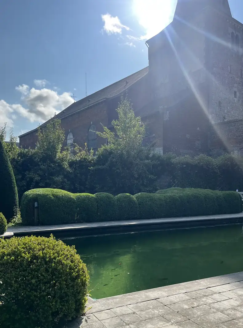 Onderhouden hagen en buxus rond een zwemvijver