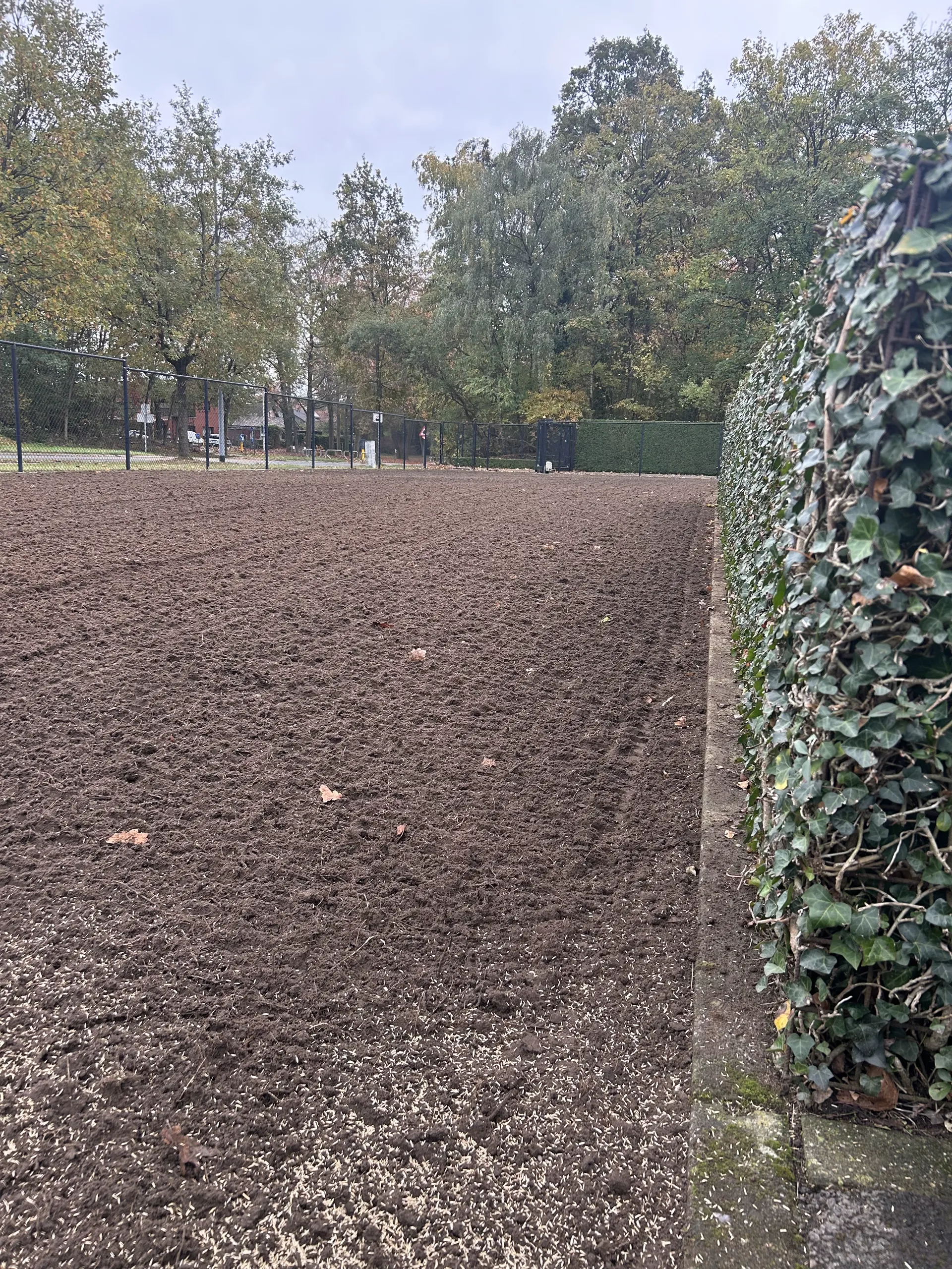 Zaaiklaar gemaakte grond